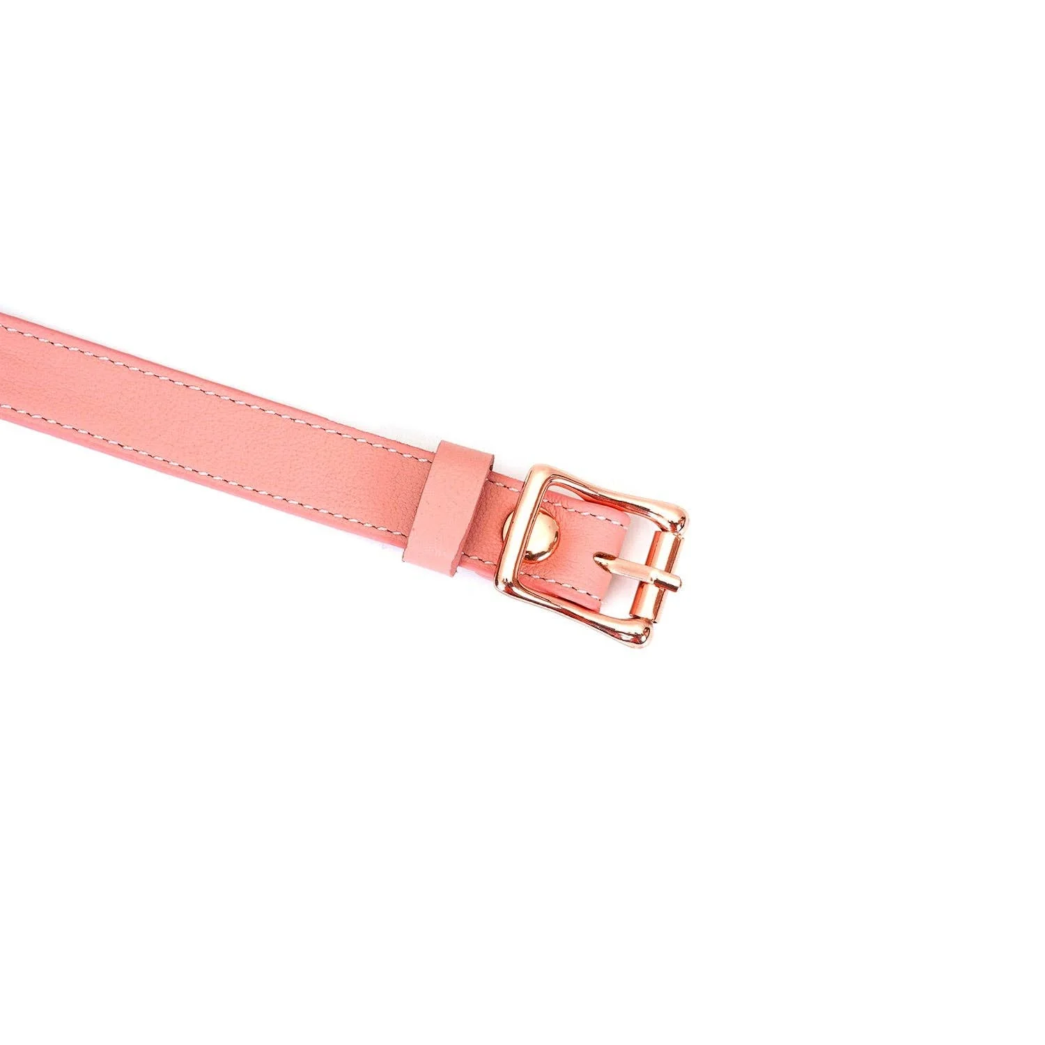 Pink Dream Leather Ball Gag - Image 5